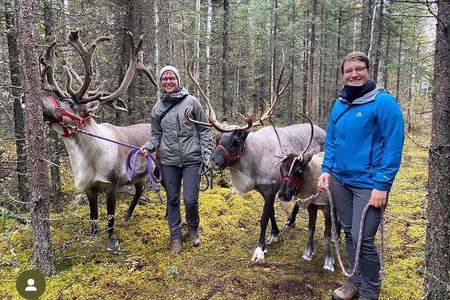 45 Minute Private Reindeer Tour