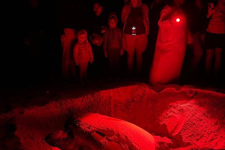 8 Days Experience Oman Nature and culture with an Omani Guide-4WD