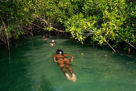 2 Hour Mangrove Kayak and Snorkel Tour