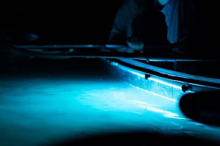 Night Mangrove Kayak Tour