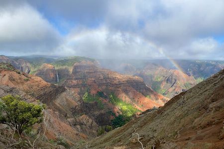 Kauai's Waimea Canyon and South Side Private Guided Tour