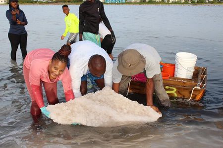 Cultural Salt Picking Experience in Anguilla