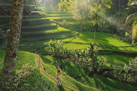 Best of Ubud: All-Inclusive Private Tour with Local Guide