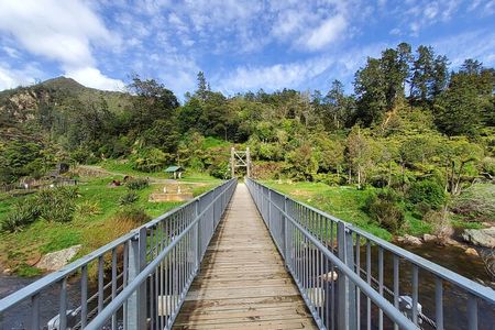 Small Group Tour To Karangahake Gorge & Waihi Gold Exploration