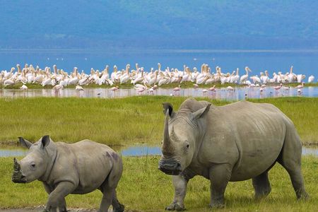 Ngorongoro Crater Private 4-Day Tour Karibu Heritage House