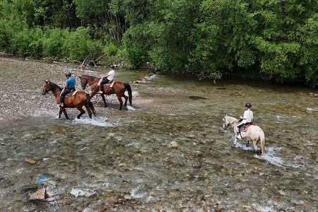 Zakopane Horse Riding and Thermal Baths full day from Krakow
