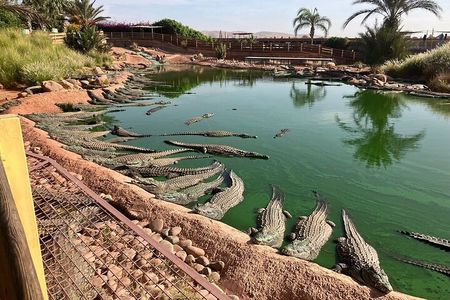 Agadir Croco Park and Argan Goat Farm Adventure