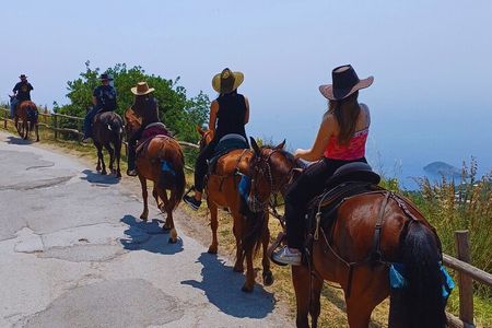 Sorrento Guided Horseback Riding Tour
