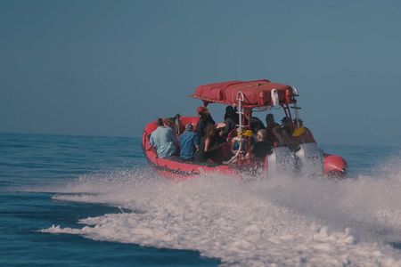 Maui: 2-Hour Molokini Snorkel Trip