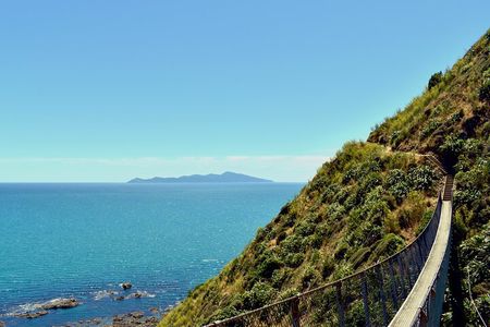 Kāpiti Coast: Escarpment Track Guided Hiking Tour, Coffee + Lunch