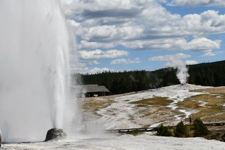 Private Yellowstone Park Tours from Bozeman and Big Sky