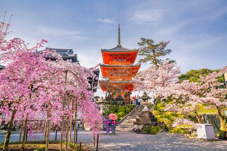 Kyoto and Nara Small Group Tour from Osaka