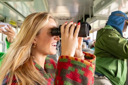 Denali in a Day – Full-Day Sightseeing Tour