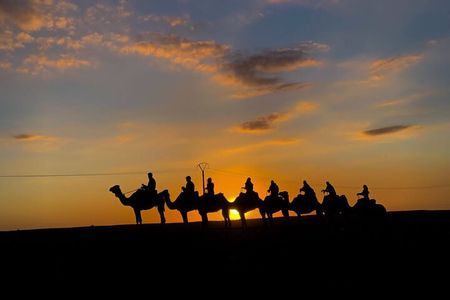 Camel Riding Experience in Agafay Desert with dinner & sunset 