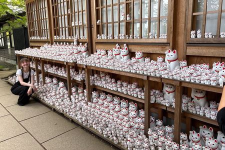 Tokyo Customizable Private Car Tour with Local Guide