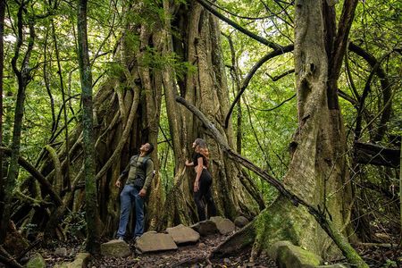 Rincon de la Vieja National Park , Hike, Hot Springs & Waterfall