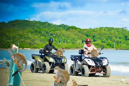 Combo: Adventure in ATV and Monkeys