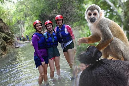 Combo : Damajagua and Monkey Sanctuary with Typical Lunch