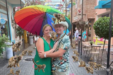 Combo: Monkeys and city tours from amber cove and Taino bay 