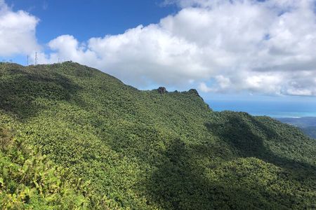 Explore El Yunque National Forest Guided Nature Adventure