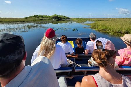 Everglades Small-Group Airboat Adventure with Transport