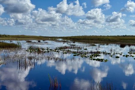 Everglades 1h private small group Eco Airboat w/transportation