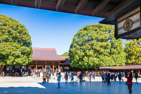 Tokyo Morning Half Day City tour with hotel pick-up by Gray Line