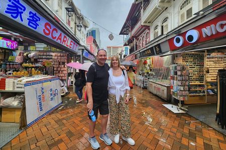 Private Singapore City Tour of Multicultural Hubs with a Local