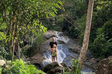 Private & Customizable El Yunque Rainforest Adventure