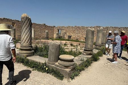 Private Excursion to Volubilis Meknes and Moulay Idriss from Fez