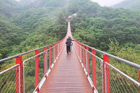 Explore DMZ from Seoul +(optional) Gondola/Red Suspension Bridge