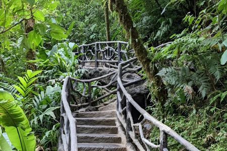 Private La Paz Waterfalls & Starbucks Alsacia Tour from San José