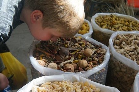  Private 4WD Adventure in Nizwa Fort, Souq & Jebel Akhdar