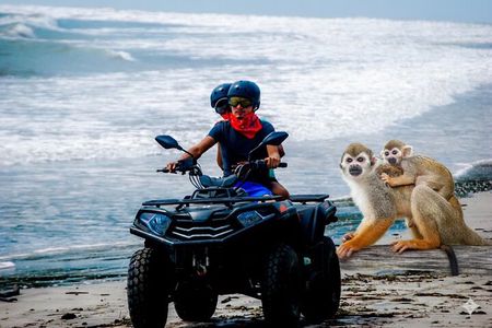 ATV off road monkeys & plantation tours from amber cove taino B
