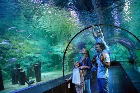 Istanbul Aquarium and Shopping Tour with Hotel Transfers