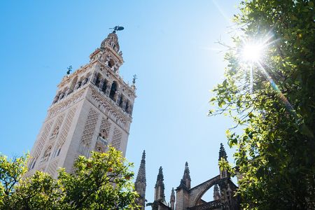 Small-Group tour of Seville Cathedral & Giralda Tower