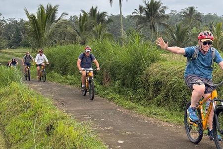 Ubud : Kintamani Downhill Cycling Tour with Lunch