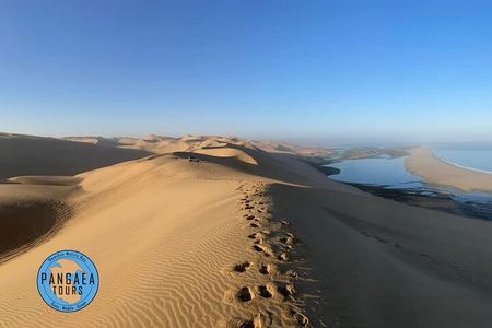 Pangaea Tours - Combo Sandwich Harbour + Dolphin & Seal Cruise
