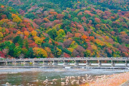Nara Deer Park, Fushimi Inari & Arashiyama Bamboo Forest Day Tour