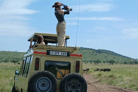7 Day Tanzania Safari Adventure Serengeti and Ngorongoro