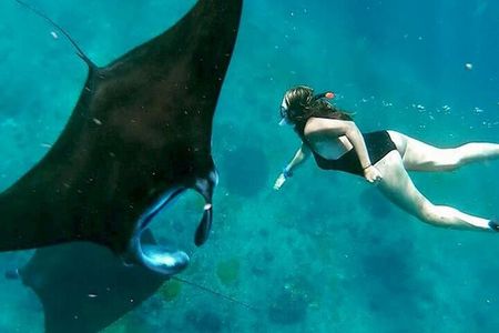 Private All Inclusive Nusa Penida Snorkeling and Tour