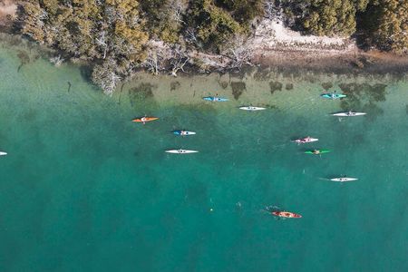Mangroves and Mansions Guided Kayak Tour on the Noosa River