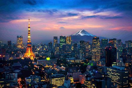 Tokyo Made Easy | Private Chauffeur Day Adventure | Car and Guide
