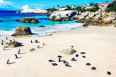 Full Day Table Mountain, Cape Point & Winelands Tour