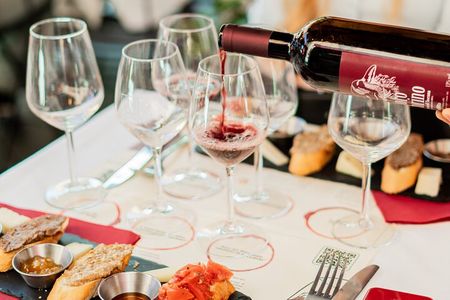 Pisa guided tour and Wine tasting with Leaning Tower ticket (option)