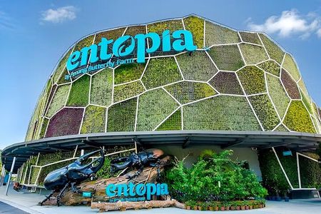 Penang City and Entopia Butterfly Farm Tour