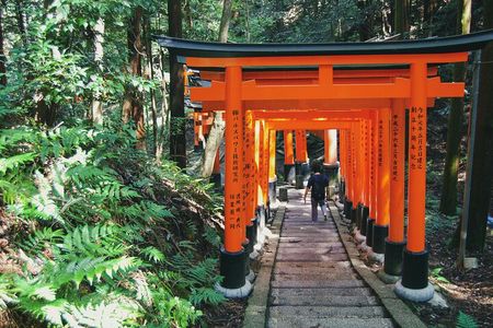 Crowd-Free Kyoto: Fushimi Inari, Nijo Castle & Kinkaku-ji