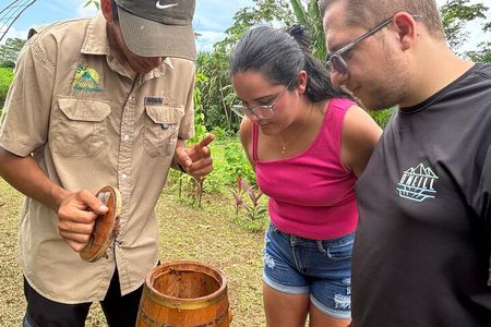 Discover the fascinating world of native bees and healing honey
