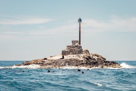 Marine Safari in La Ventana