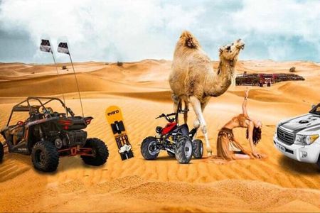 Doha: Half Day Desert Safari with Camel Ride and Inland Sea Tour